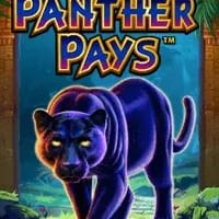 Panther Pays screenshot